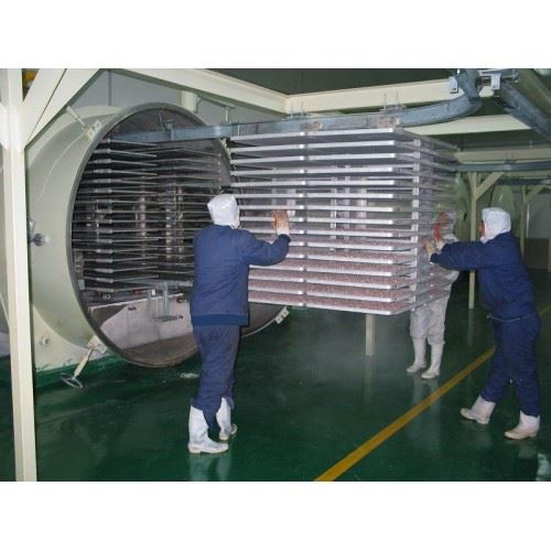 Food Process Freeze Dryer, Industry lyophilizer