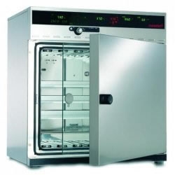 MEMMERT INCOMED CO2 İNKÜBATÖRLER